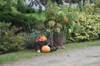 Wyrzeka: Dożynkowe witacze. Tak udekorowano miejscowość