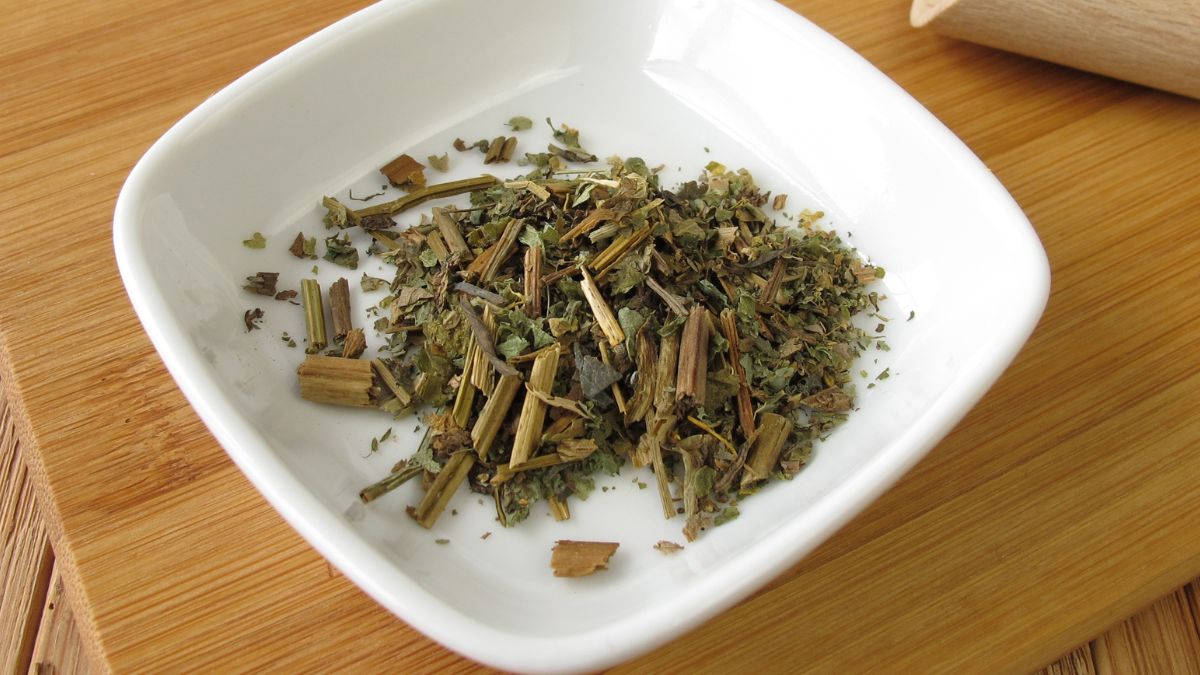 Glistnik jaskółcze ziele