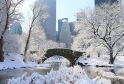USA. Burza śnieżna paraliżuje Nowy Jork. Sieć zalewają zdjęcia