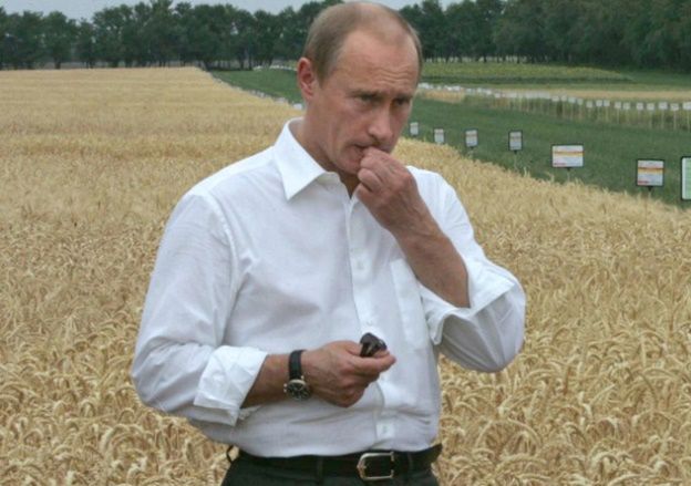 Plaga szarańczy niszczy dziesiątki tysięcy hektarów upraw w Rosji