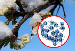 Pogoda na kwiecień. Mamy najnowszą prognozę długoterminową