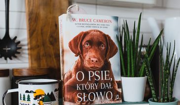 O psie, który dał słowo - zakochaj się w rozmerdanej opowieści!
