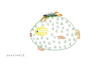 Najpiękniejsze książki dla twojego dziecka. "Jasnowidze" rozdane