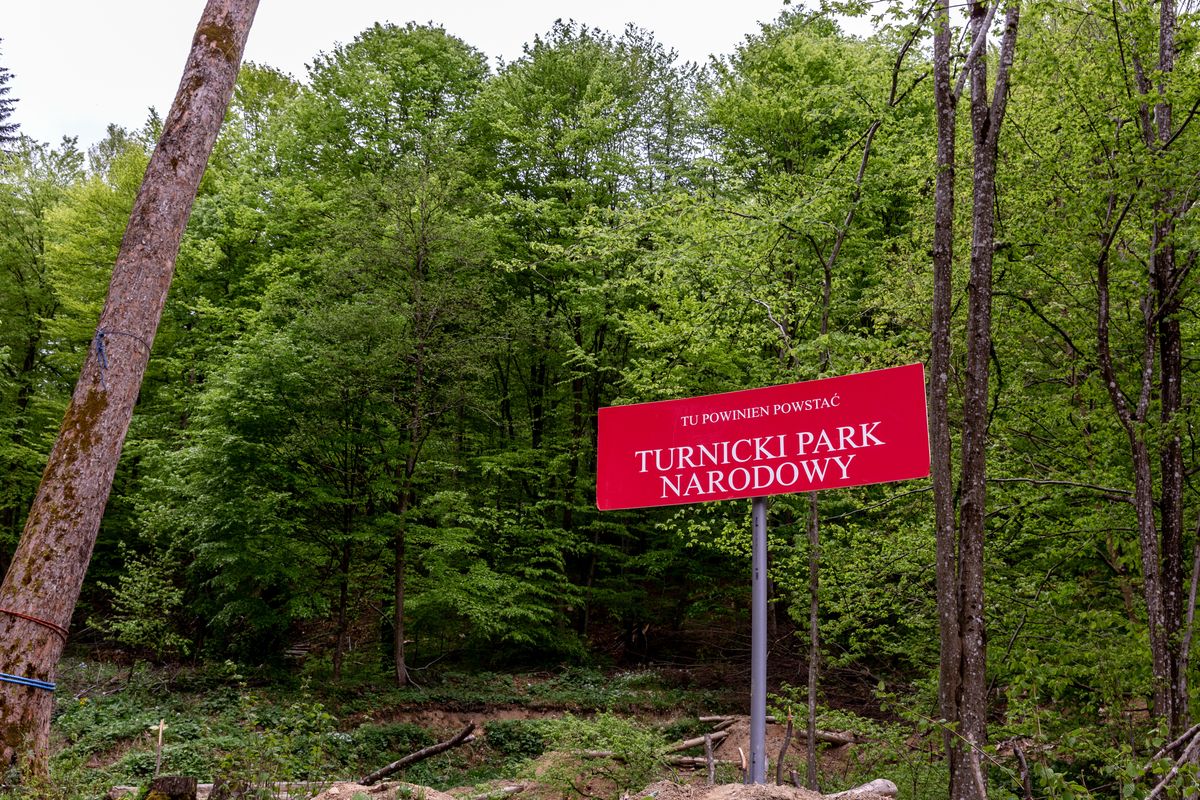 W Polsce od 20 lat nie powstał żaden park narodowy 