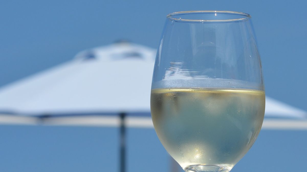 Wino stołowe fume blanc (białe)