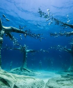 Cypr. Podwodne muzeum rzeźby już otwarte