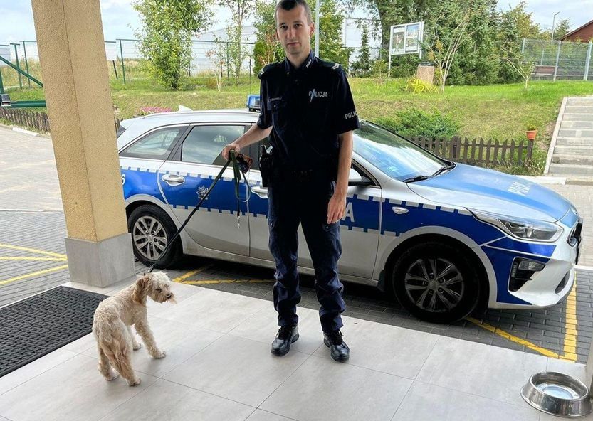 Turystka z Warszawy zostawiła psa w nagrzanym samochodzie. Uratowała go policja