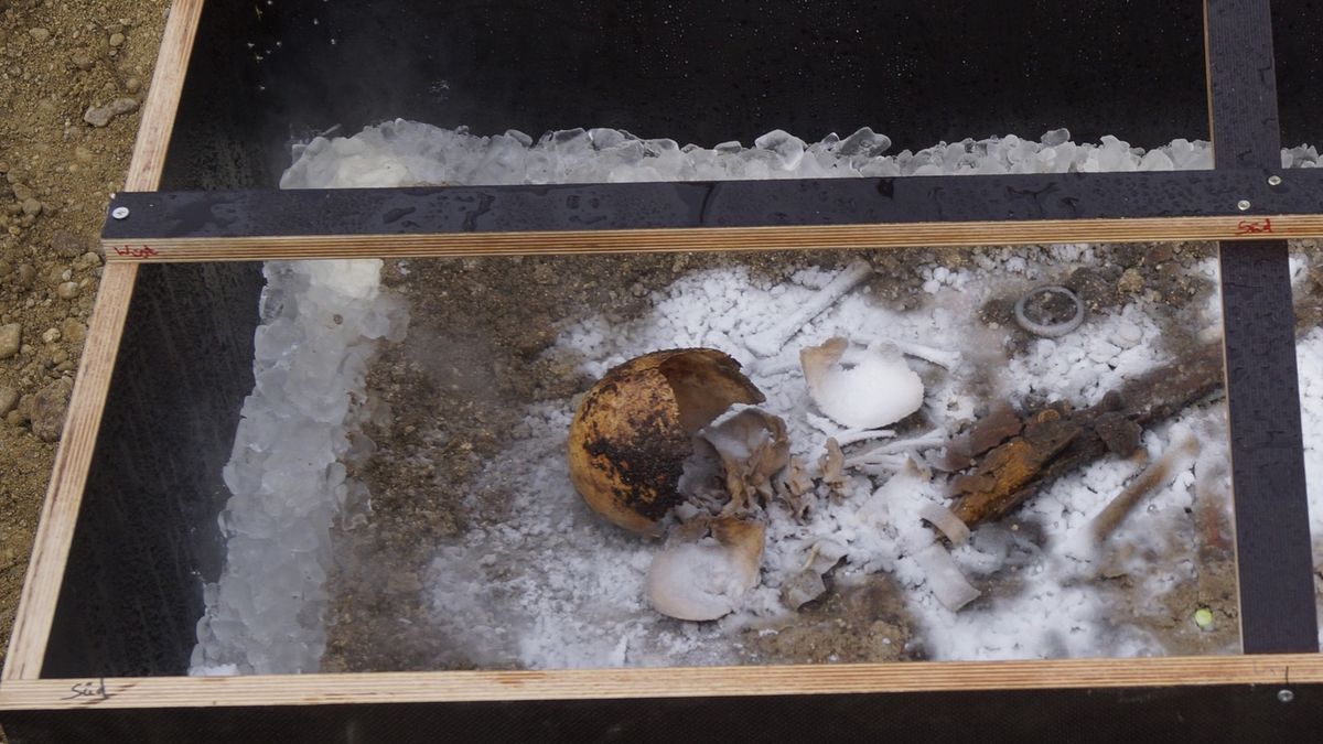 Tajemniczy "Lodowy książę" został odkryty w Bawarii