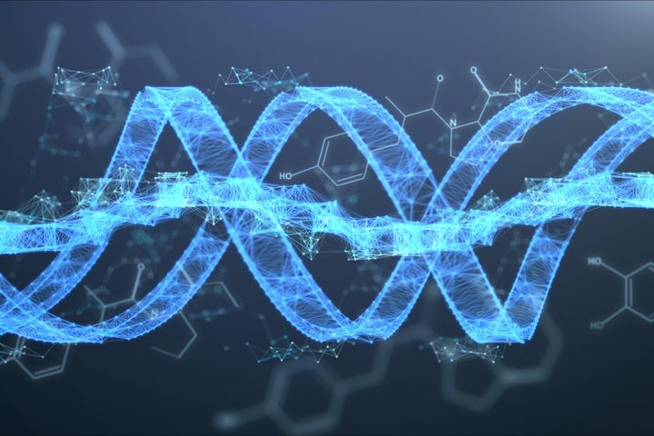Genom to kompletna informacja genetyczna żywego organizmu i nośnik genów