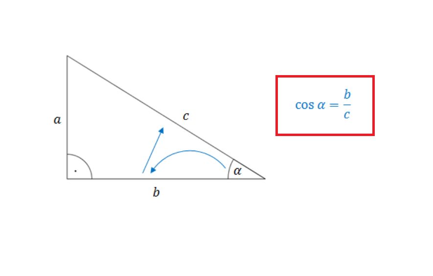 Obliczanie cosinusa kąta ostrego w trójkącie prostokątnym