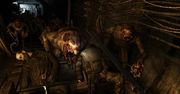 Metro 2033 - gramy dalej [wideo]
