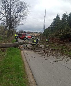 Ogromna wichura w Świętokrzyskiem. Strażacy w akcji