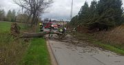 Ogromna wichura w Świętokrzyskiem. Strażacy w akcji