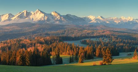 Tatry. Mimo pandemii oszuści nie śpią. Francuska willa udaje domy w Zakopanem i Kościelisku