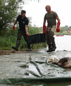 Fałszywe informacje o dramacie w Odrze? Polacy są niemal jednomyślni