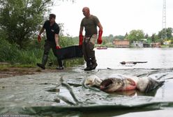 Fałszywe informacje o dramacie w Odrze? Polacy są niemal jednomyślni
