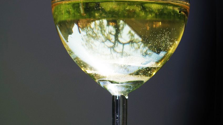 Wino stołowe semillon (białe)