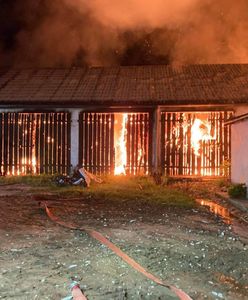 Dramat w Żukowie. Zwierzęta spłonęły żywcem w pożarze