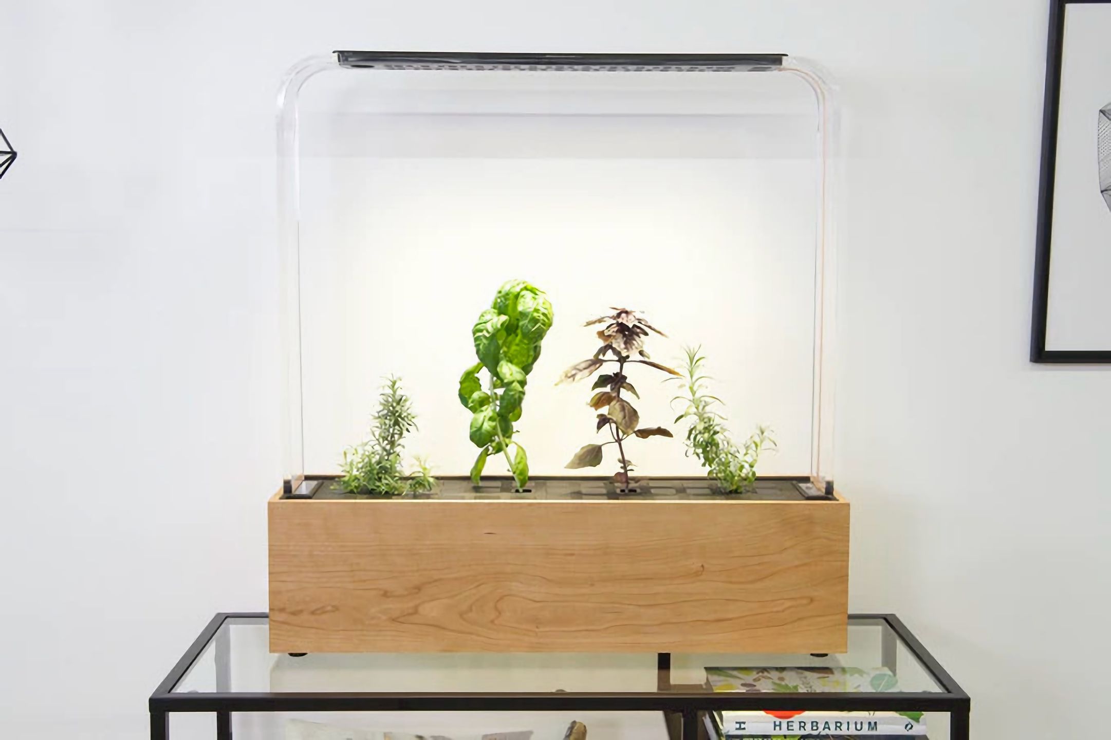 Herb Garden od GardenByte. Inteligentny ogródek w twoim domu 1