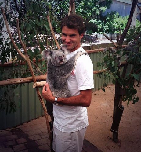 Roger Federer w czasie wizyty w Lone Pine Koala Sanctuary (Foto: Twitter)
