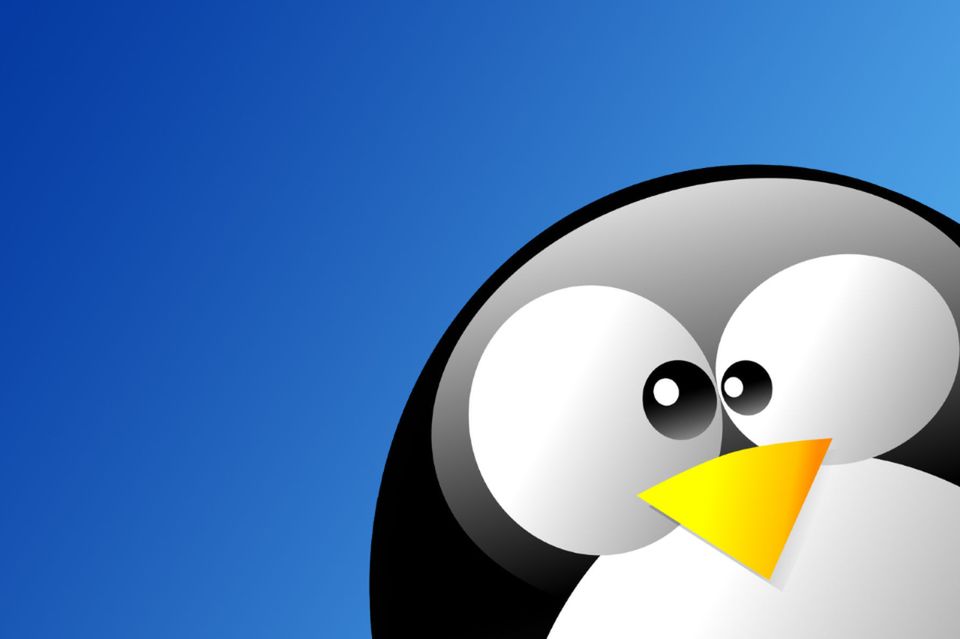 Linux ma rekordowo wysokie udziały w rynku pecetów