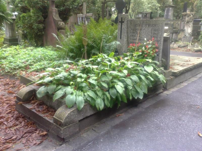 W tym grobie ma zostać pochowany Krzysztof Wakuliński