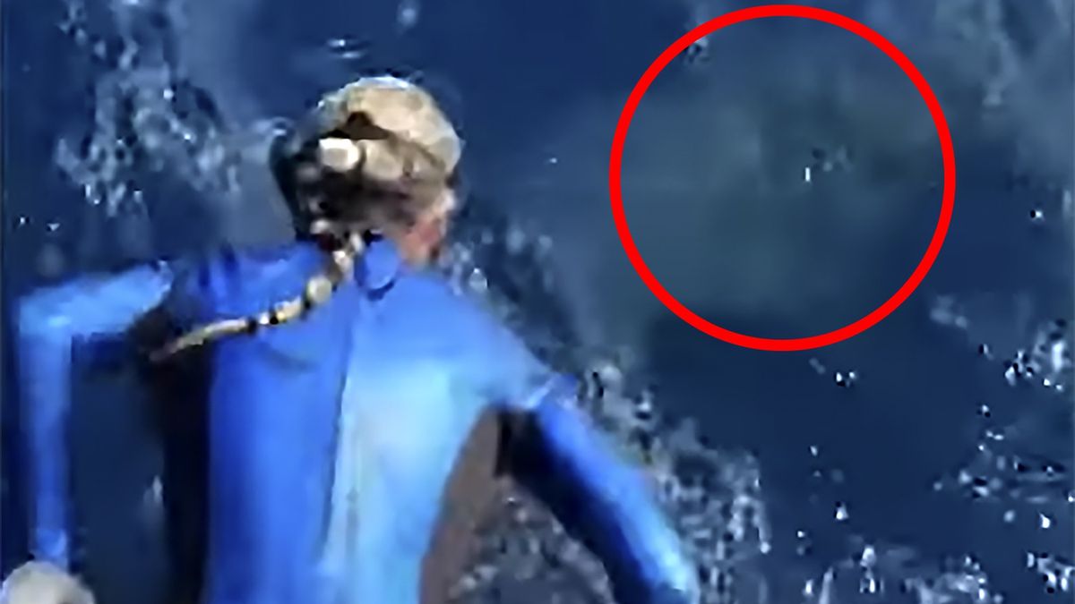 Ocean Ramsey o mały włos zanurkowałaby prosto w paszczę pięciometrowego rekina