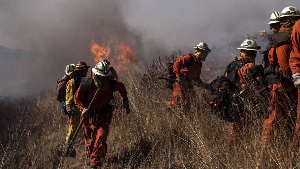 Strażacy walczą z ogniem w 