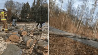 Bytów: Drzewa tarasowały drogi, wiatr zrywał dachy