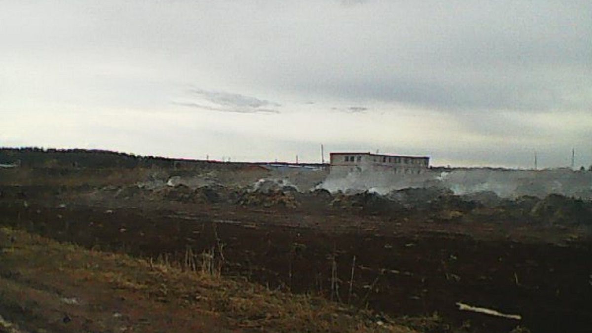 Dziewczyny spaliły farmę dla filmików na TikTok