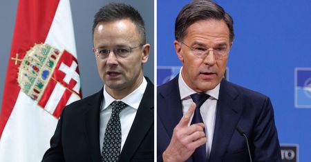 Węgierski minister wściekły na szefa NATO. "Wbił nóż w plecy"