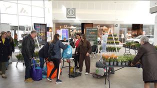 Gliwice: Niepotrzebne ubrania i tekstylia zamienili na sadzonki