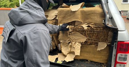 Nielegalny susz tytoniowy warty 260 tysięcy złotych ujawniony w samochodzie