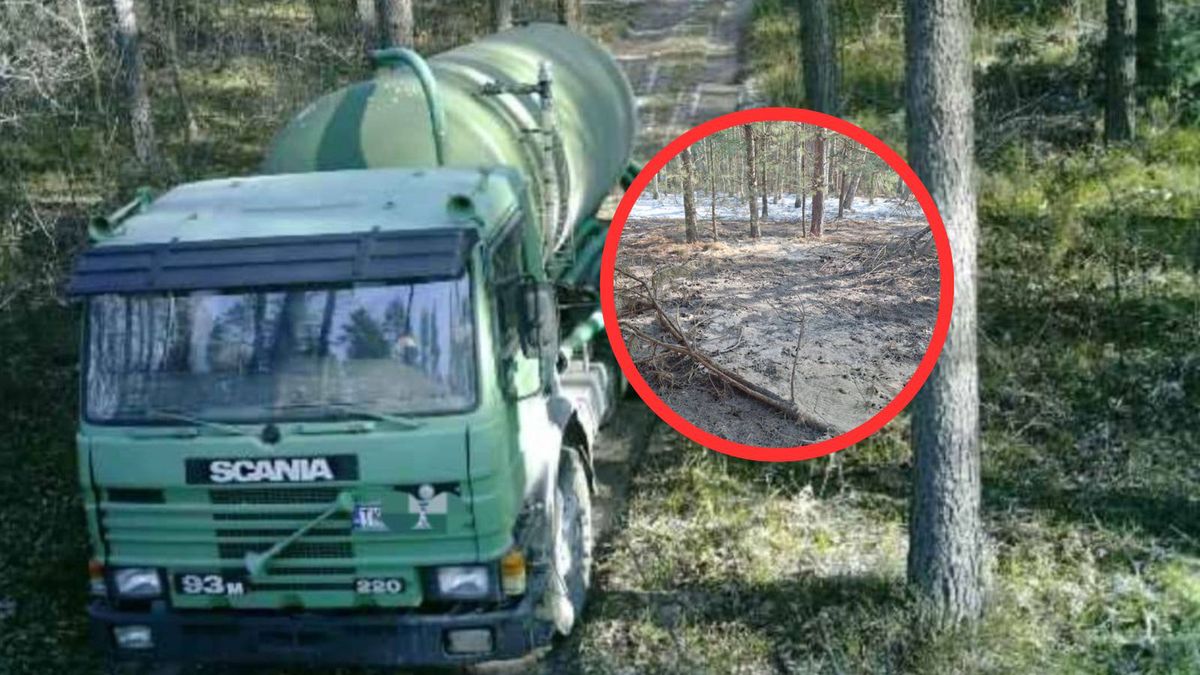 Wylali ścieki do lasu. Nagrała ich fotopułapka