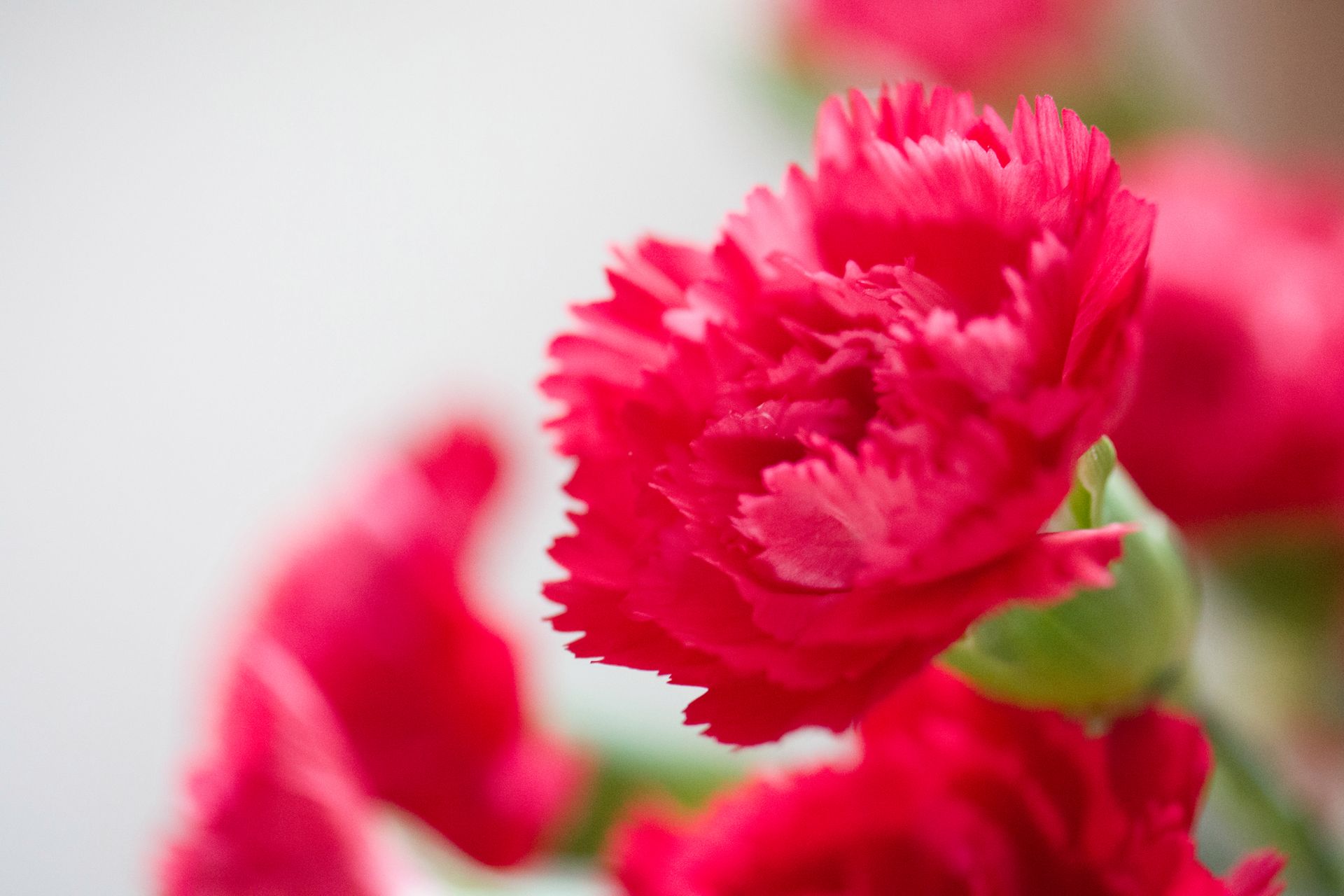 Panasonic Lumix GH4 - zawodowy aparat bez lustra, ale z filmami 4K [test] 35