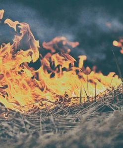 Seria pożarów na Mazowszu. Przez trzy dni 436 pożarów traw i lasów
