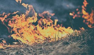 Seria pożarów na Mazowszu. Przez trzy dni 436 pożarów traw i lasów