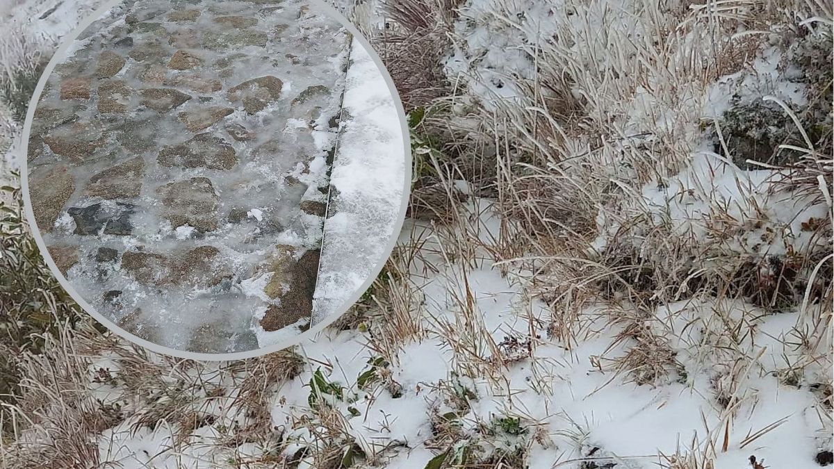 W Tatrach już się zaczęło. Śnieg przykrył roślinność