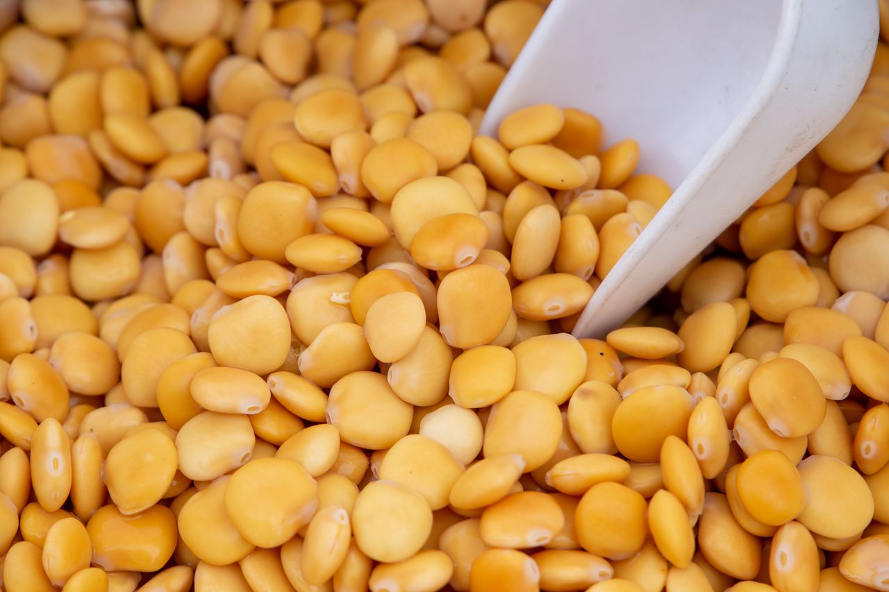 Mylisz go z chwastem, a to polska bomba białkowa. Zapomnij o soi i ciecierzycy