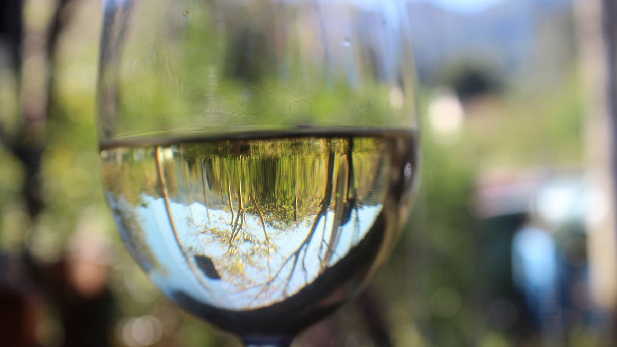 Wino stołowe pinot blanc (białe)