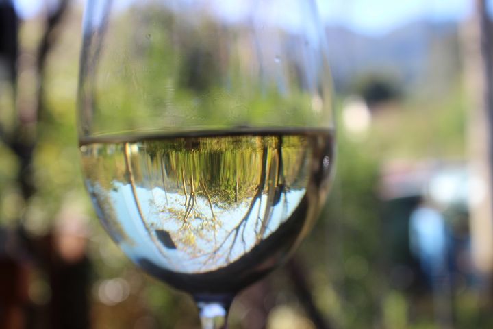 Wino stołowe pinot blanc (białe)