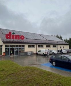 Prawie 3 tys. wakatów. Dino szuka pracowników. Oto zarobki