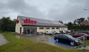 Dino szuka ludzi do pracy. Ponad 2100 wakatów. Tyle płaci