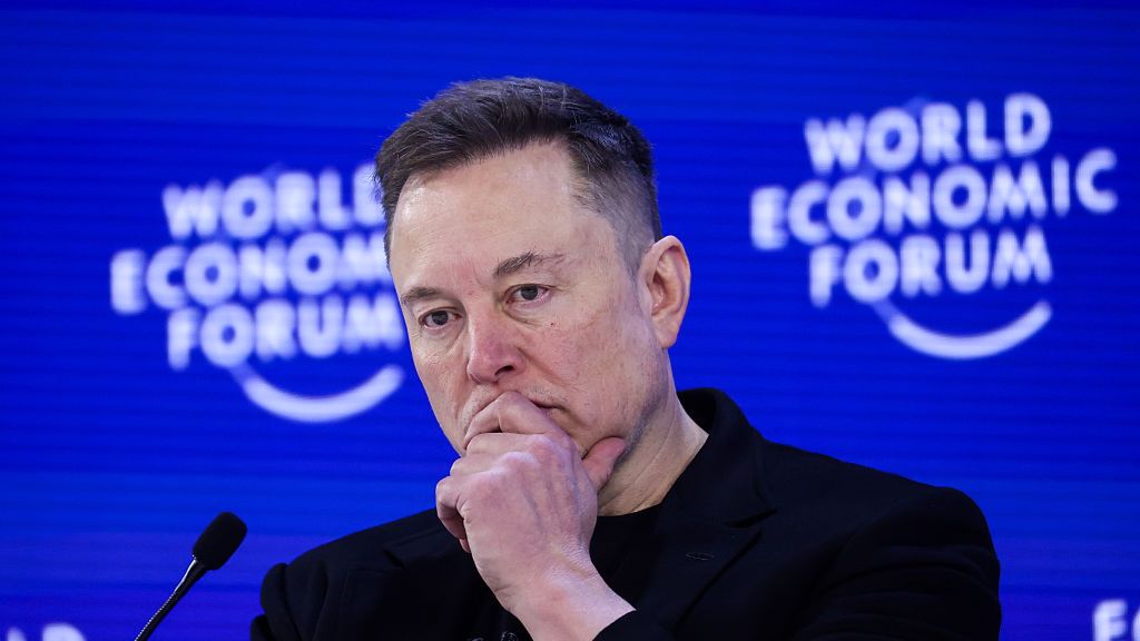 Elon Musk w Davos