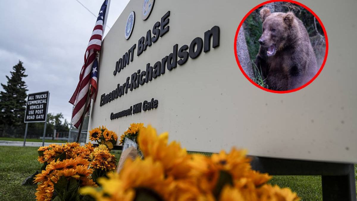 Pro-Ukrainian protest at Joint Base Elmendorf-Richardson in Alaska
ALASKA, UNITED STATES - AUGUST 15: Pro-Ukrainian activists gather for peaceful protest in memory of "Freedom for Ukraine" ahead of Trump - Putin summit over ending war in Ukraine in front of the Government Hill Gate at Joint Base Elmendorf-Richardson in Anchorage, Alaska, United States on August 15, 2025. The demonstration, which served as a tribute to those who lost their lives for Ukraine's freedom, featured messages of opposition to Vladimir Putin and support for Ukraine. (Photo by Hasan Akba/Anadolu via Getty Images)
Anadolu
pro-ukrainian protest, alaska, united states, anchorage, trump - putin summit