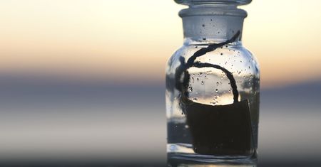 Rok The Pirate Bay — 6 zmian domeny, więcej torrentów, współzałożyciel traktowany gorzej niż morderca