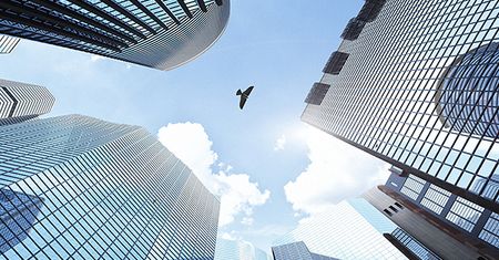 Już niedługo będziemy bawili się własnymi bionicznymi ptakami