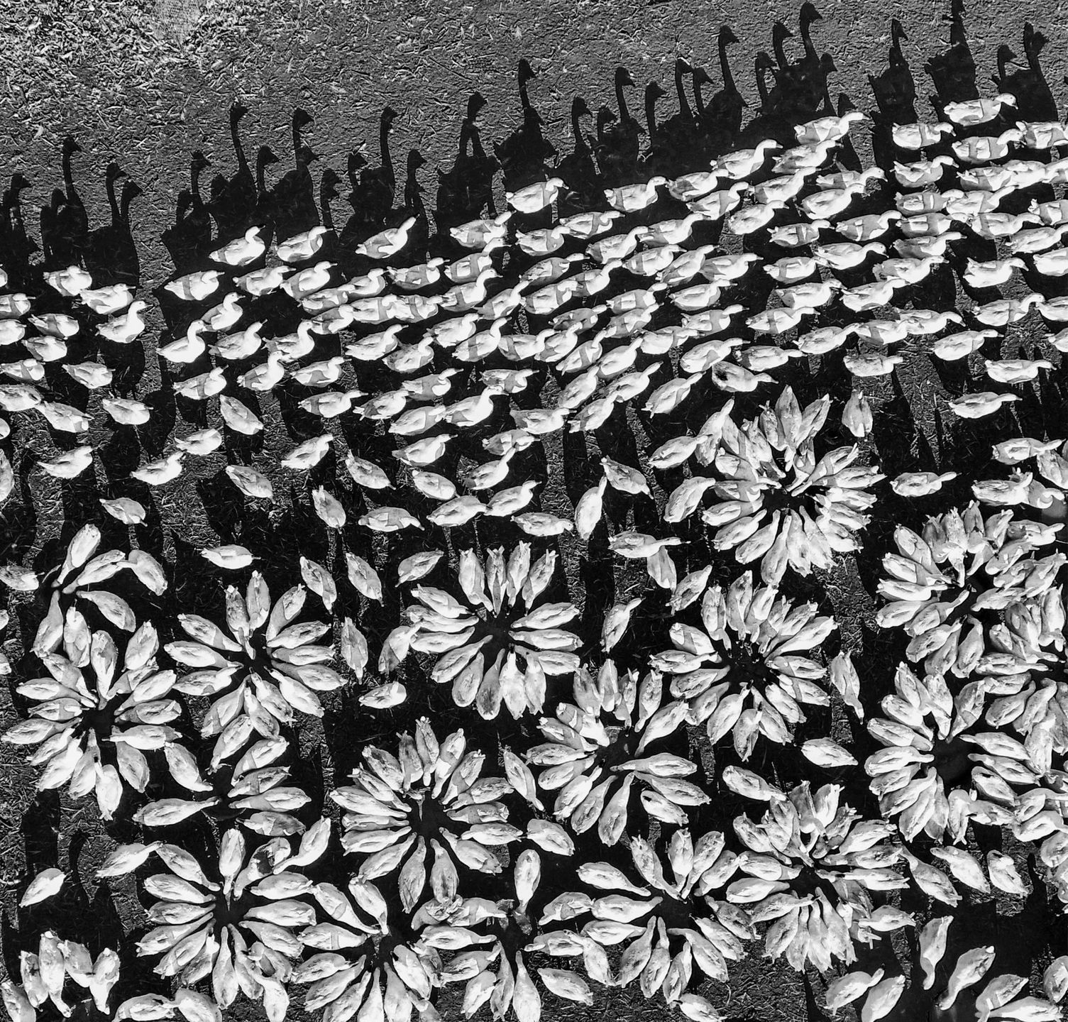 Polacy nagrodzeni w konkursie Skypixel na najlepsze fotografie z drona 8