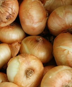 Polak przemycał kokainę w cebuli