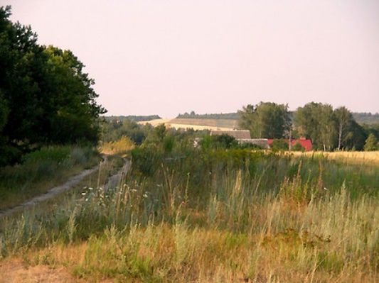 Obraz
